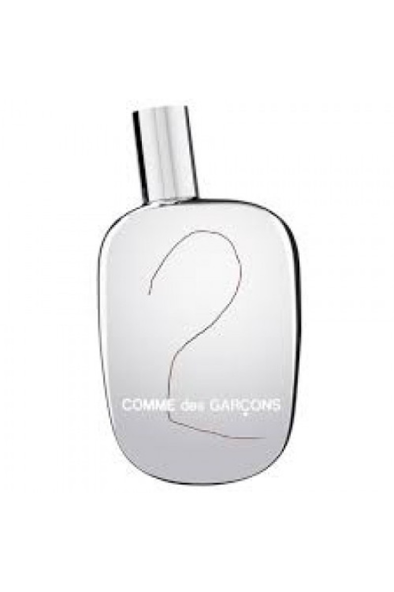 Comme Des Garcons 2 Edp 100ml Unisex Tester Parfüm